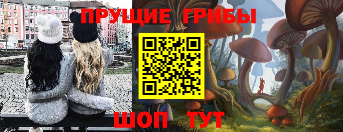 Псилоцибиновые грибы Magic Shrooms  Галлюциногенные грибы Magic Shrooms  Вход с VPN  Астрахань 